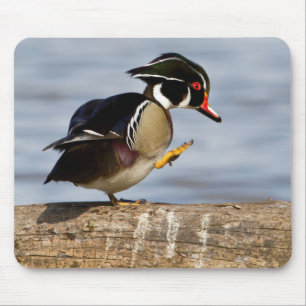 Holzente auf Baumstamm im Feuchtgebiet Mousepad