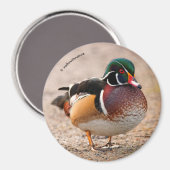 Holzente auf Kies Magnet (Vorderseite/Rückseite)