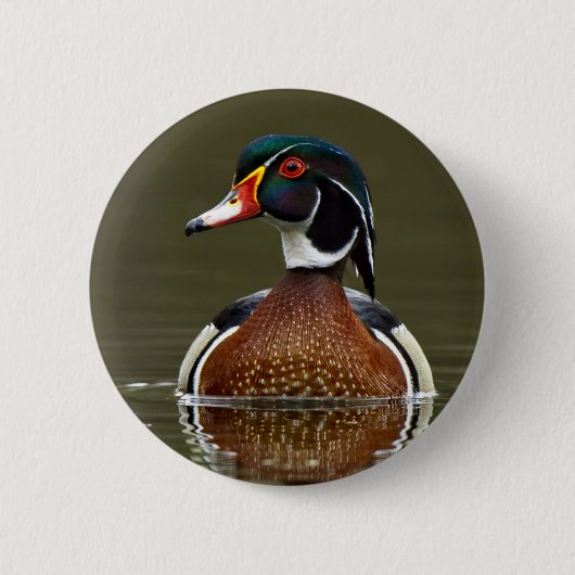 Holzente auf Wasser Button (Vorderseite)