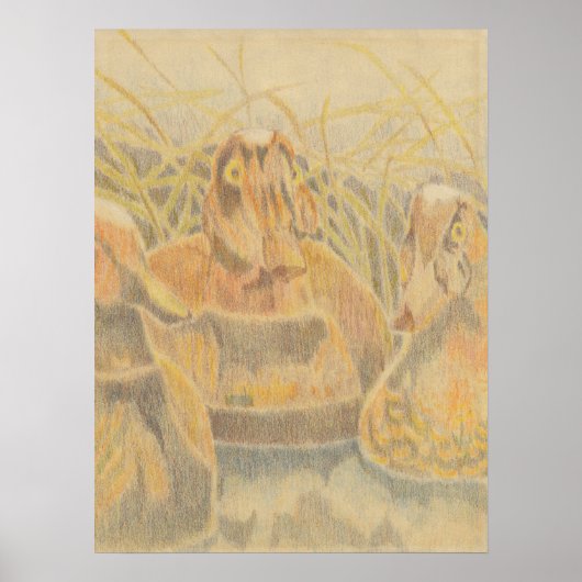 Holzente Decoys auf Teich Poster (Vorne)