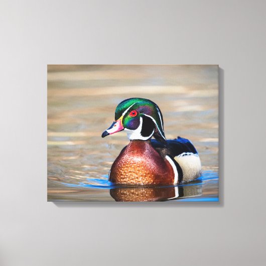 Holzente in einem Teich Leinwanddruck (Vorderseite)