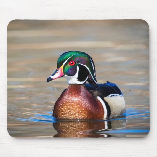 Holzente in einem Teich Mousepad (Vorne)