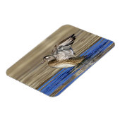 Holzente klopft ihre Flügel Magnet (Linke Seite)