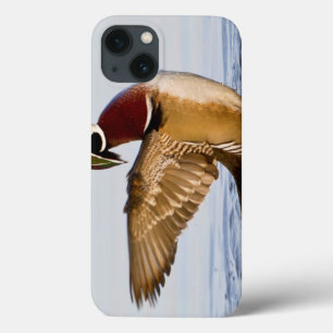 Holzente Männchen schlägt mit den Flügeln im Feuch Case-Mate iPhone Hülle