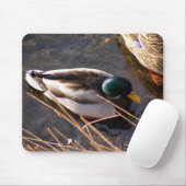 Holzente-Maus-Pad Mousepad (Mit Mouse)
