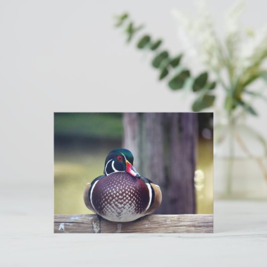 Holzente Postcard Postkarte (Stehend Vorderseite)