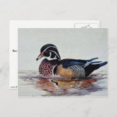 Holzente Postkarte (Vorne/Hinten)