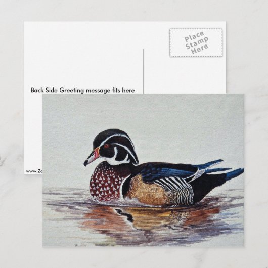 Holzente Postkarte (Vorne/Hinten)