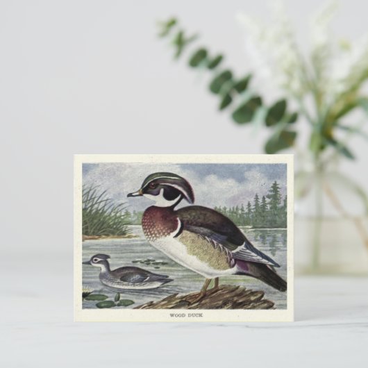 Holzente Postkarte (Stehend Vorderseite)