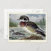 Holzente Postkarte (Vorne/Hinten)