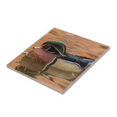 Holzente schwimmen im Wasser Fliese (Seite)