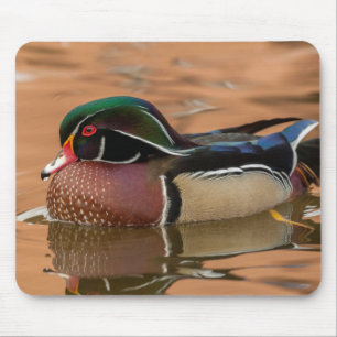 Holzente schwimmen im Wasser Mousepad