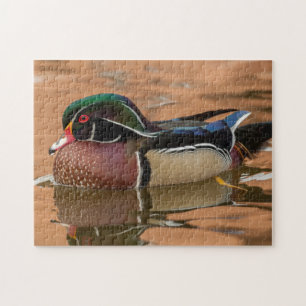 Holzente schwimmt im Wasser Puzzle
