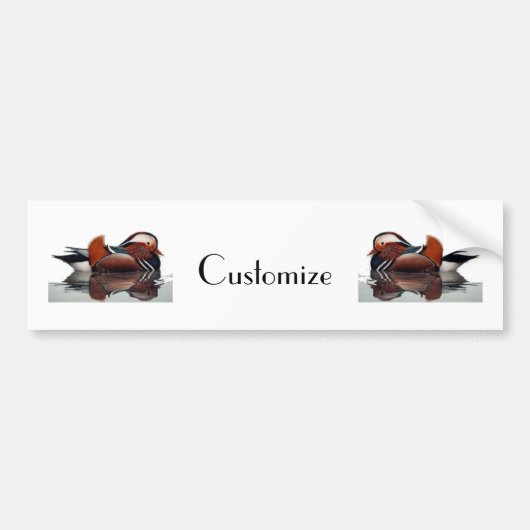 Holzente Thunder_Cove Autoaufkleber (Vorne)
