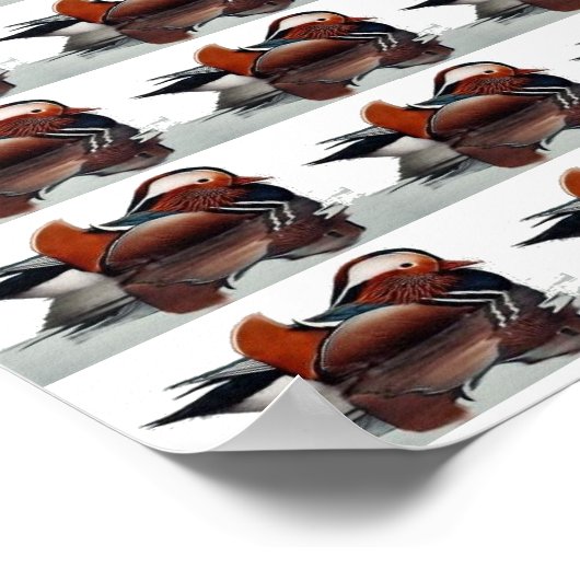 Holzente Thunder_Cove Poster (Ecke)