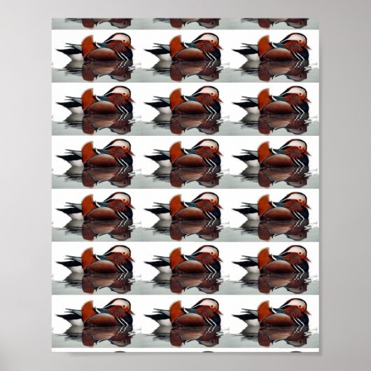 Holzente Thunder_Cove Poster (Vorne)