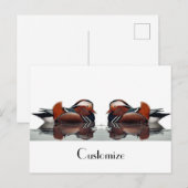 Holzente Thunder_Cove Postkarte (Vorne/Hinten)