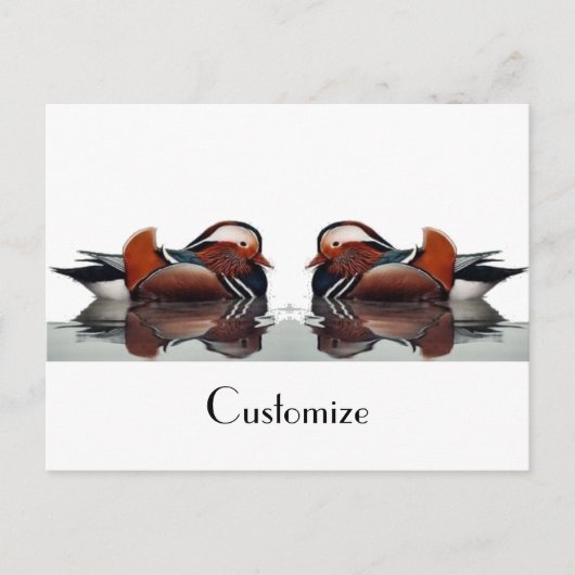 Holzente Thunder_Cove Postkarte (Vorderseite)