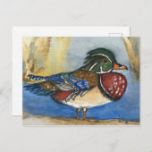 Holzente Wasserfarben-Vogelmalerei Postkarte (Vorne/Hinten)