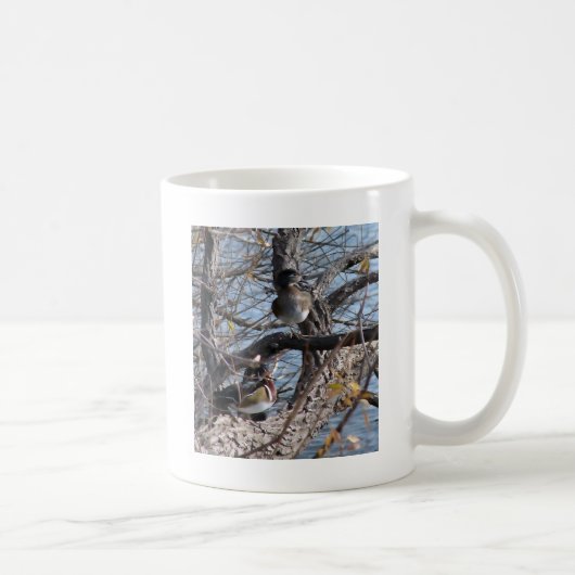 Holzenten in einem Baum Kaffeetasse (Rechts)