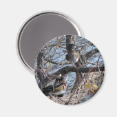 Holzenten in einem Baum Magnet (Vorderseite/Rückseite)