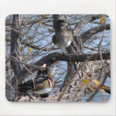 Holzenten in einem Baum Mousepad (Vorne)