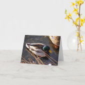 Holzentnahmekarte Karte (Gelbe Blume)