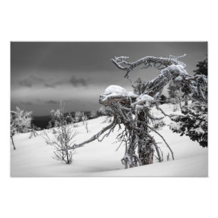 Hölzerne Alien im Winter im finnischen Lapl Fotodruck