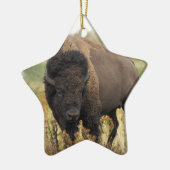 Hölzerne Bison-Verzierung Keramikornament (Links)