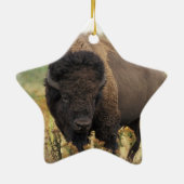 Hölzerne Bison-Verzierung Keramikornament (Hinten)
