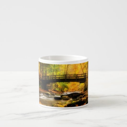 Hölzerne Brücke und Nebenfluss im Fall Espressotasse (Vorderseite)