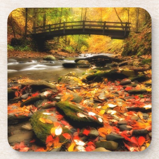 Hölzerne Brücke und Nebenfluss im Fall Untersetzer (Vorderseite)