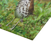 Hölzerne Drossel-dekoratives Glasschneiden-Brett Schneidebrett (Ecke)