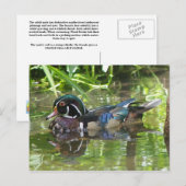 hölzerne Ente Postkarte (Vorne/Hinten)