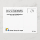hölzerne Ente Postkarte (Rückseite)