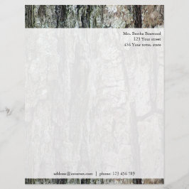 Hölzerne Kiefern-Barken-botanische Briefkopf