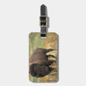 Hölzerner Bison-Gepäckanhänger Gepäckanhänger (Vorderseite vertikal)