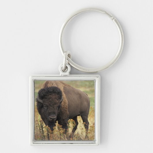 Hölzerner Bison-Schlüsselanhänger Schlüsselanhänger (Vorne)