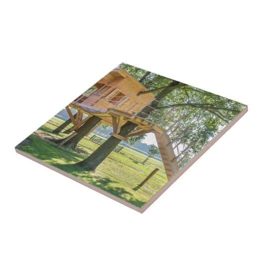 Hölzernes Baumhaus in der Eiche mit Gras Fliese (Seite)