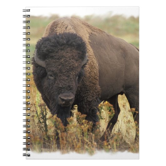 Hölzernes Bison-Notizbuch Notizblock (Vorderseite)