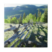 Hölzernes Fenceline Fliese (Vorderseite)