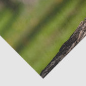 hölzernes Herz Seidenpapier (Detail)