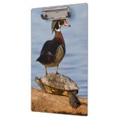 Hölzernmännchen stehend auf Red Oared Slider Klemmbrett (Links)
