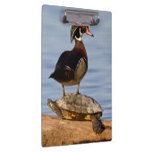 Hölzernmännchen stehend auf Red Oared Slider Klemmbrett (Rechts)