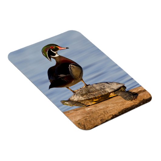 Hölzernmännchen stehend auf Red Oared Slider Magnet (Rechte Seite)