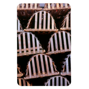 Holzfalle für Hummer vertikal Magnet