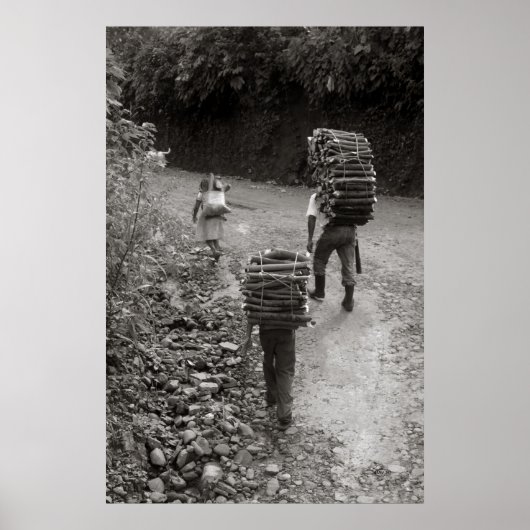 Holzfäller, Guatemala Poster (Vorne)