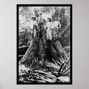 Holzfäller in Mindoro-Region, Philippinen 1906 Poster