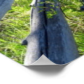 Holzfasel Poster (Ecke)