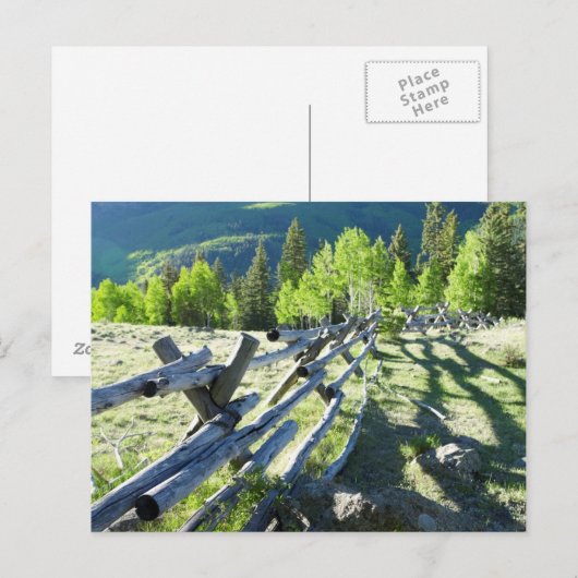 Holzfasel Postkarte (Vorne/Hinten)